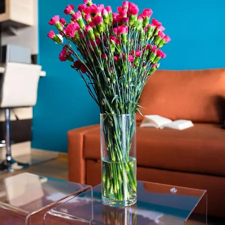 Odra Tower With Garage & Balcony - Properunit Lejlighed